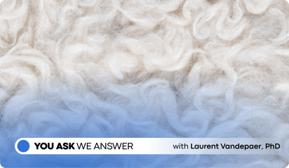 The Carbon Footprint of Wool