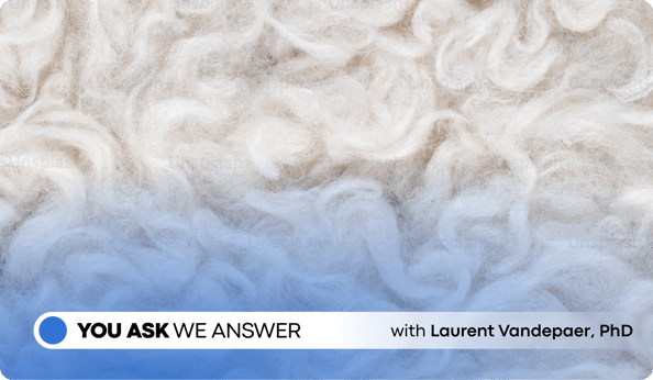  Cashmere Wool Deep Dive