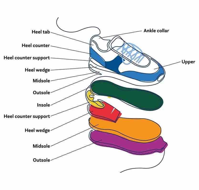 Parts Of A Men's Shoe