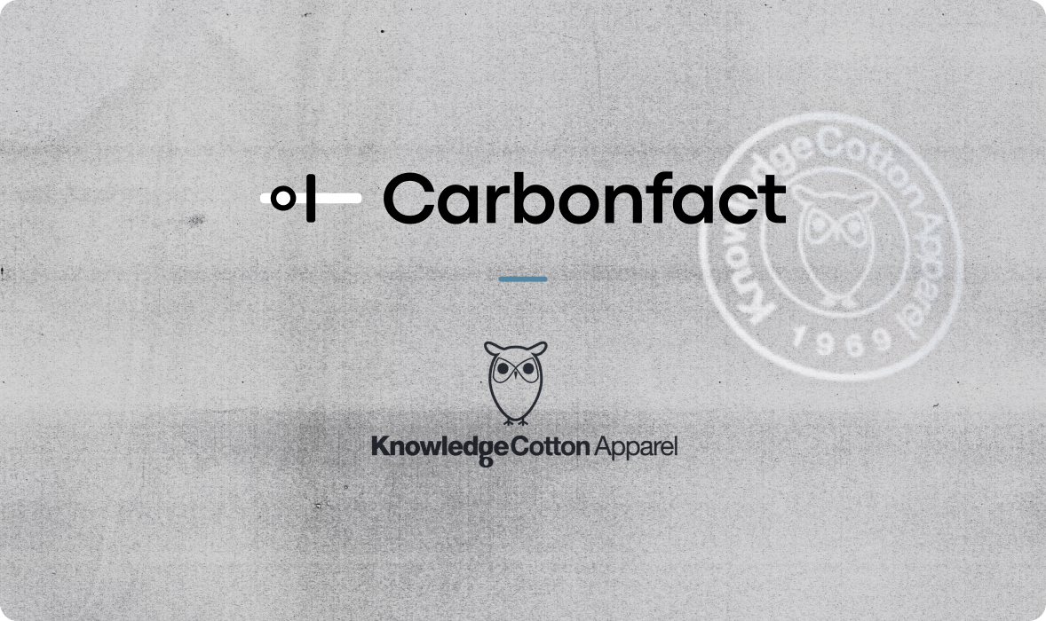 Ever Dye-blog cover (2)