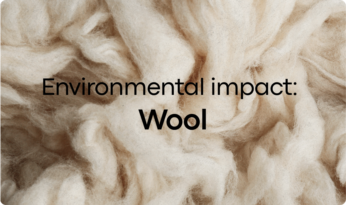 Wool's environmental impact: What you need to know